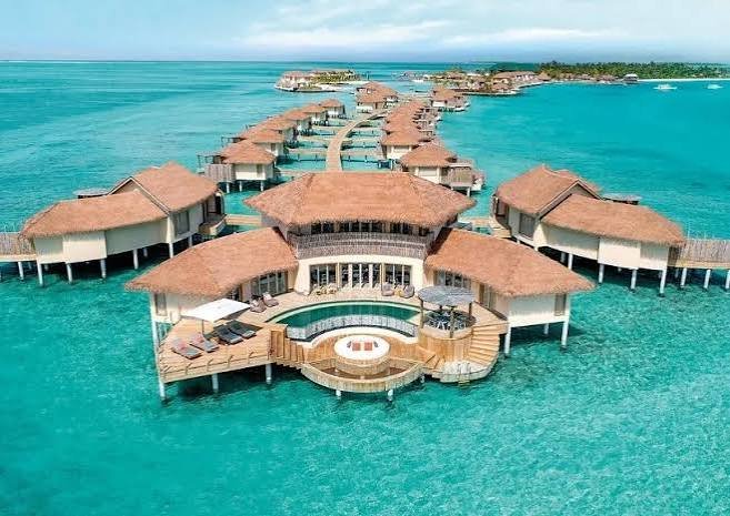 MALDIVES - Image 3
